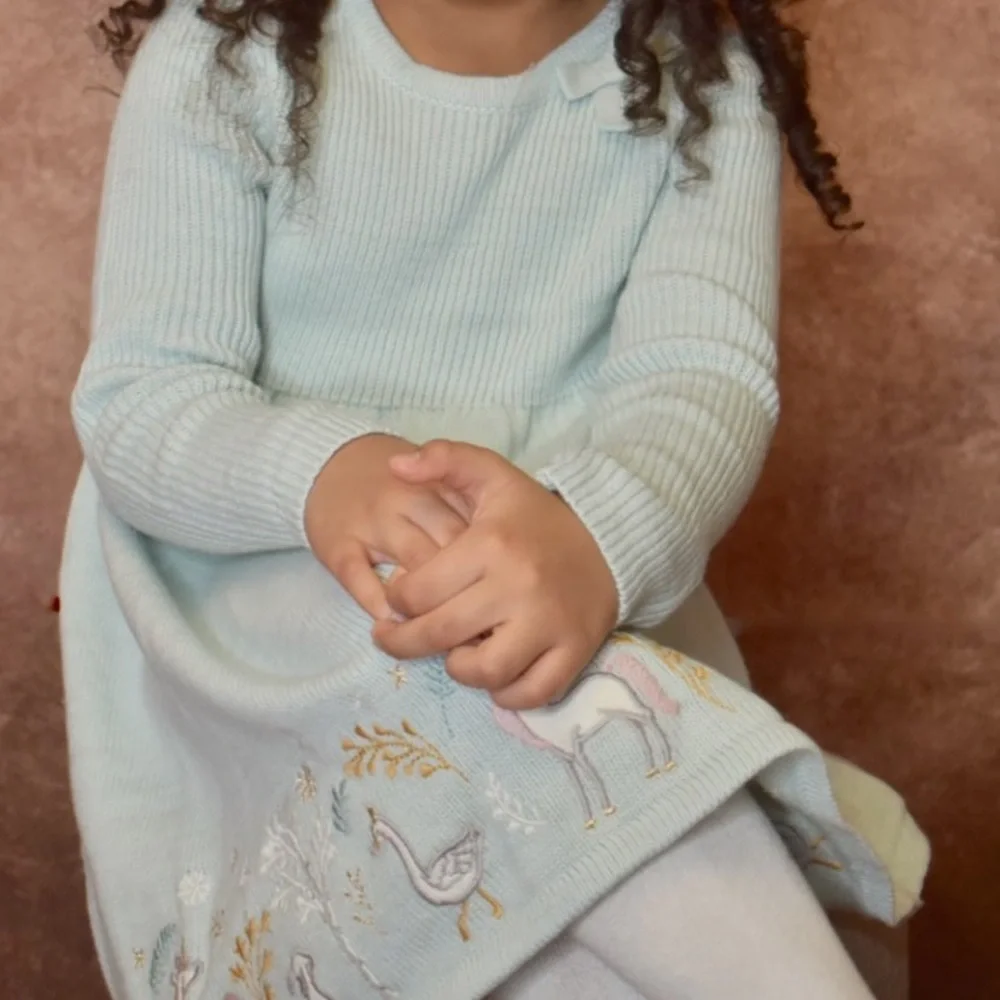 Aspen Girls Unicorn Knit Sweater Dress Sage Green Size 5T